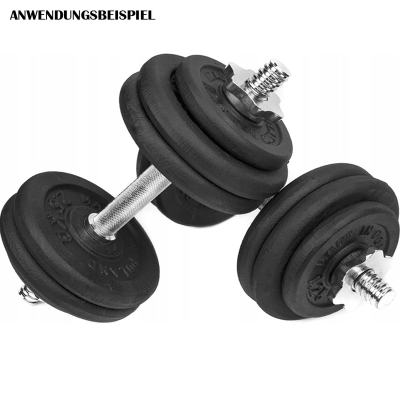 10 kilo gewichtsscheibe